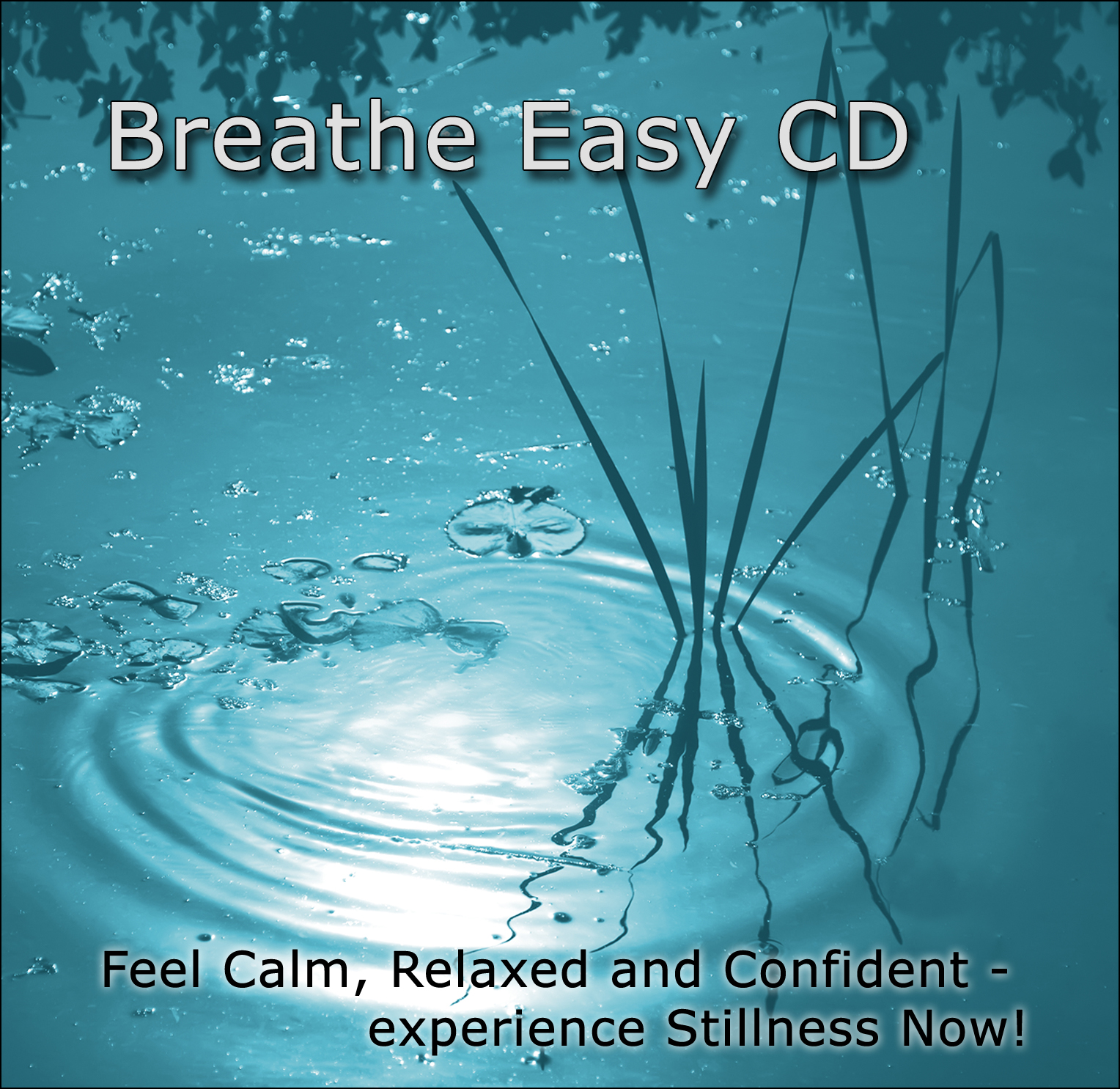 Reduce anxiety and stress levels with Breathe Easy by Susan Smith and ...