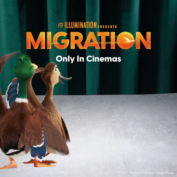 Migration film